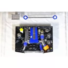 Berry motor body SR / RB / FA Pandora Pandora RC PAI-801 - 10