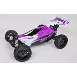 Razor pirate RTR 4x4 2.4 GHz T2M T2M T4910 - 4