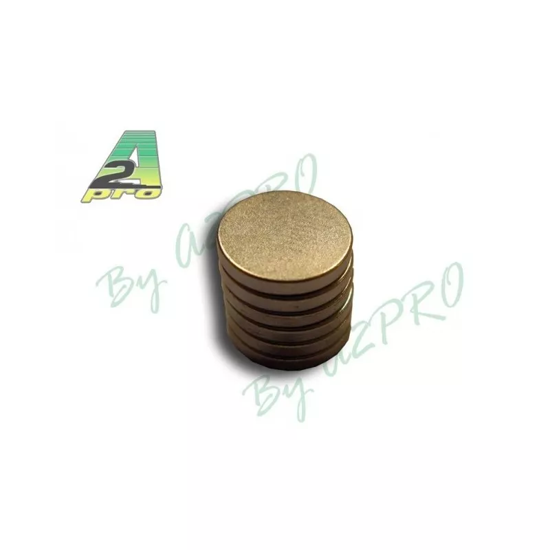 Magnet 12 mm / 1.5 mm (6pcs) A2Pro A2Pro S0445744 - 1