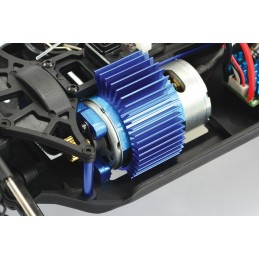 Bugsta Brushed 4wd 1/10 RTR FTX FTX FTX5530 - 7