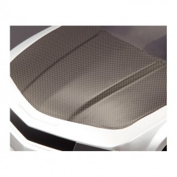 Carbon decal type A 30 X 19.5 cm Killerbody Killerbody KB48125 - 2