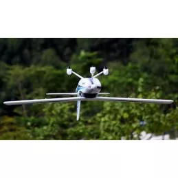 Pandora EP (4 en 1) Bleu PNP - Freewing Freewing F4302 - 6