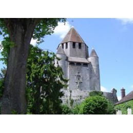 Tour César (France) 8250pcs comp ceramic Aedes Aedes Ars AED1009 - 3