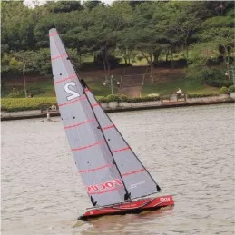 Voilier Focus 2 RTS Joysway Joysway 8812RTR - 11