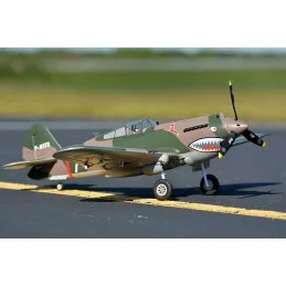 P-40B Flying Tiger 980mm PNP FMS FMS Model FMS075C - 2