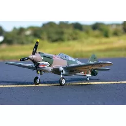 P-40B Flying Tiger 980mm PNP FMS FMS Model FMS075C - 3