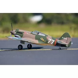 P-40B Flying Tiger 980mm PNP FMS FMS Model FMS075C - 4