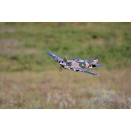 P-40 Flying Tiger 980 mm PNP FMS B FMS Model FMS075C - 5