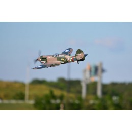 P-40B Flying Tiger 980mm PNP FMS FMS Model FMS075C - 6