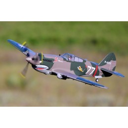 P-40B Flying Tiger 980mm PNP FMS FMS Model FMS075C - 7
