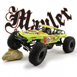 Mauler Crawler yellow 4WD 1/10 RTR FTX FTX FTX5575Y2 - 1