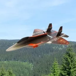 F-22 Raptor Kit EPP RC Factory RC Factory F22 - 2