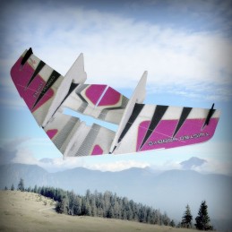 Crack Wing Violet Kit EPP RC Factory RC Factory F01 - 2