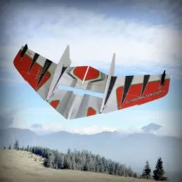 Crack Red Wing RC Factory EPP Kit RC Factory F03 - 2