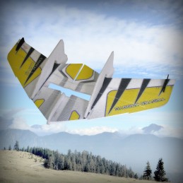 Crack Wing Jaune Kit EPP RC Factory RC Factory F04 - 3