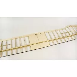 Glider SunBird V2 1600mm kit balsa DW Hobby DW Hobby - Dancing Wings Hobby F1601C - 5
