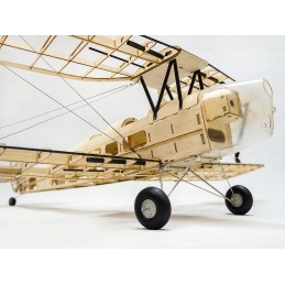 s19 mini tiger moth