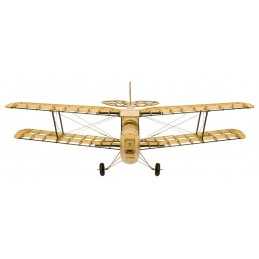 s19 mini tiger moth