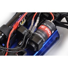 Pirate XT-S Monster RTR 4x4 2.4GHz T2M T2M T4941 - 4