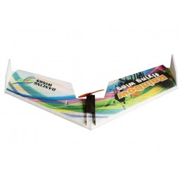 Rainbow V2 flying wing E05 800 m EPP Kit alone DW Hobby DW Hobby - Dancing Wings Hobby E0511 - 2
