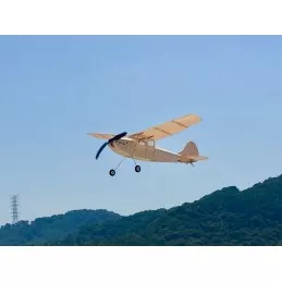 Mini Cessna L - 19 445 mm balsa DW Hobby laser cutting DW Hobby - Dancing Wings Hobby K1201 - 8