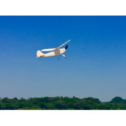 Mini Cessna L-19 445mm découpe laser balsa DW Hobby DW Hobby - Dancing Wings Hobby K1201 - 9