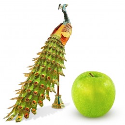 Iconx Peacock Metal Earth Metal Earth ICX112 - 3