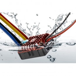 Carbon waterproof inverter QUICRUN 80A crawler + Hobbywing card Hobbywing 30112750 - 5