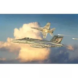 copy of Aircraft Bye-Bye Mirage F1 1/48 Italeri Italeri I2791 - 1