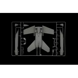 copy of Aircraft Bye-Bye Mirage F1 1/48 Italeri Italeri I2791 - 8