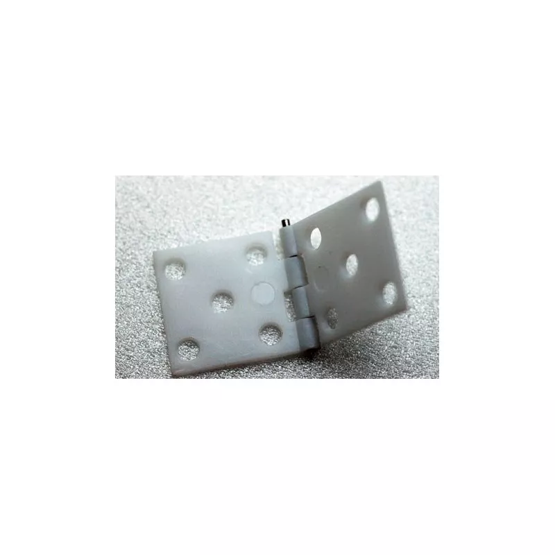 Charnières 34x16mm assemblées (10) A2Pro A2Pro S0446390 - 1
