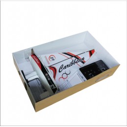 Caribbeam Voilier RTS V2 Joysway Joysway 8802V2 - 5