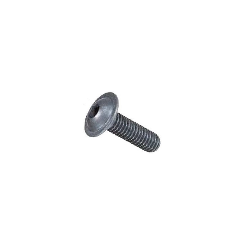 Motor screws M4x8 6Mik PVM48 - 1