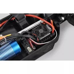 Pirate Strangler XL RTR 2.4GHz T2M T2M T4951 - 4