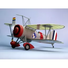 Curtiss F9C-2 Sparrowhawk Dumas Dumas S1250319 - 2