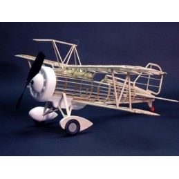 Curtiss F9C-2 Sparrowhawk Dumas Dumas S1250319 - 5