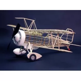Curtiss F9C-2 Sparrowhawk Dumas Dumas S1250319 - 5