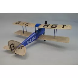 DH-60 Gipsy Moth Dumas Dumas S1250336 - 2