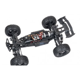 Pirate Shaker 4x4 2.4GHz RTR 1/10 T2M T2M T4953 - 3