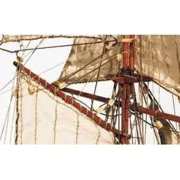 Boat Goelette Albatros 1/100 Kit Construction Wood OcCre OcCre 12500 - 4