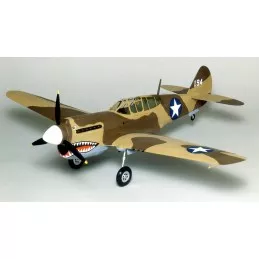 P-40 Warhawk Guillow's Guillow's S0280405 - 2