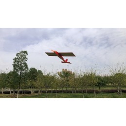 Stick -06 580mm R03 PNP + entoilage Kit balsa DW Hobby DW Hobby - Dancing Wings Hobby R0304B - 10