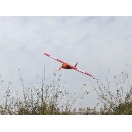 Stick -06 580mm R03 PNP - Balsa Kit DW Hobby DW Hobby - Dancing Wings Hobby R0304B - 11