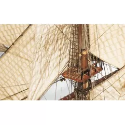 copy of Boat Endeavour 1/54 Kit Construction Wood OcCre OcCre 14001 - 5