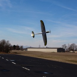 Conscendo Evolution 1.5m PNP E-Flite E-flite EFL01675 - 8