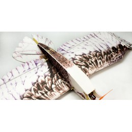 Aigle Eagle II 1m43 E19 EPP Kit PNP DW Hobby DW Hobby - Dancing Wings Hobby E1904 - 6