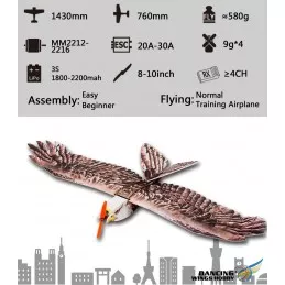 Aigle Eagle II 1m43 E19 EPP Kit PNP DW Hobby DW Hobby - Dancing Wings Hobby E1904 - 11