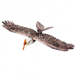 Aigle Eagle II 1m43 E19 EPP Kit DW Hobby DW Hobby - Dancing Wings Hobby E1901 - 1