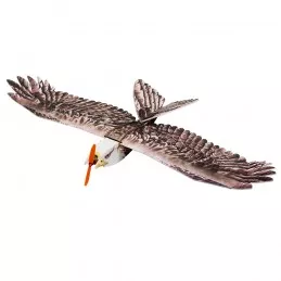 Aigle Eagle II 1m43 E19 EPP Kit DW Hobby DW Hobby - Dancing Wings Hobby E1901 - 1