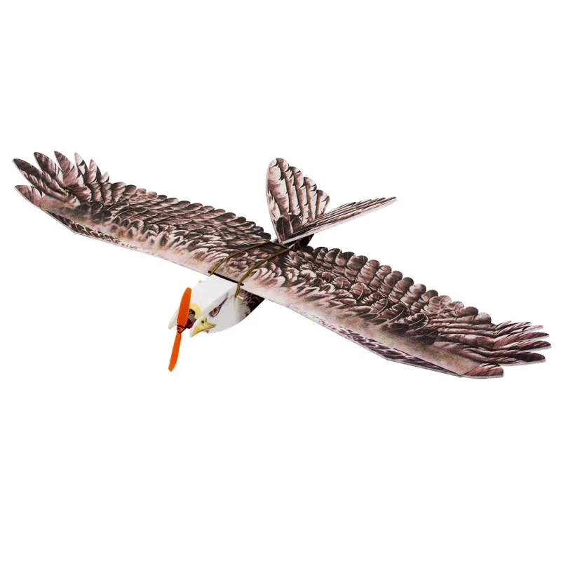 Aigle Eagle II 1m43 E19 EPP Kit DW Hobby DW Hobby - Dancing Wings Hobby E1901 - 1